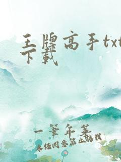 王牌高手txt下载