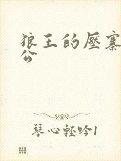 狼王的压寨小相公