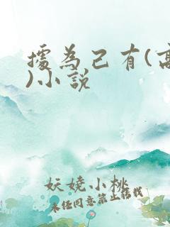 据为己有(高干)小说