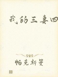 我的三妻四妾