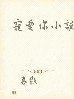 宠爱你小说