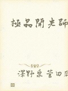极品开光师阅读