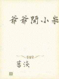 爷爷开小米的处