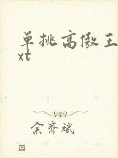 单挑高傲王子txt