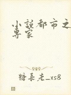 小说都市之军火专家