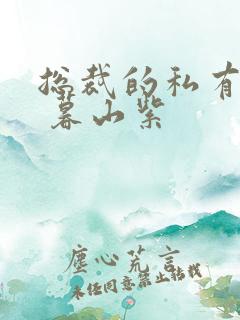 总裁的私有宝贝 暮山紫