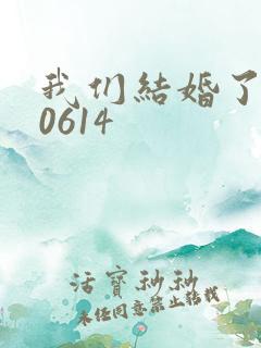 我们结婚了130614