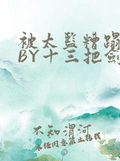 被太监糟蹋之后BY十三把剑