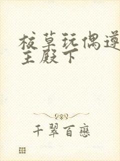 校草玩偶遵命公主殿下