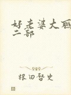 好老婆大联盟第二部