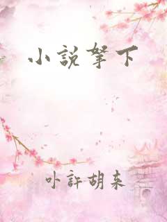 小说拿下
