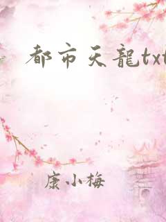 都市天龙txt