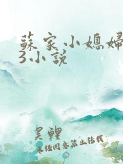 苏家小媳妇1V3小说