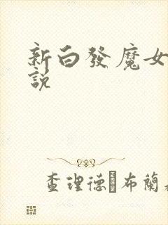 新白发魔女传小说