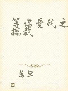 等你爱我之冰山总裁