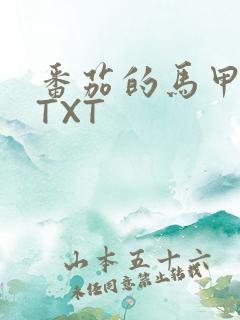 番茄的马甲小说TXT