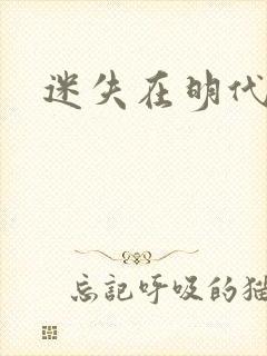 迷失在明代末年
