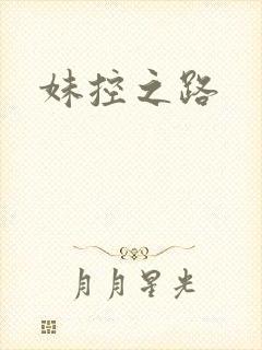 妹控之路