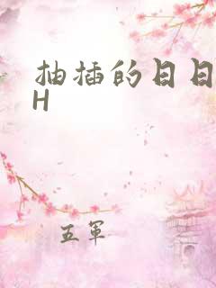 抽插的日日液液H