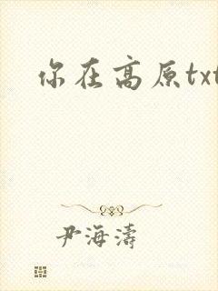 你在高原txt