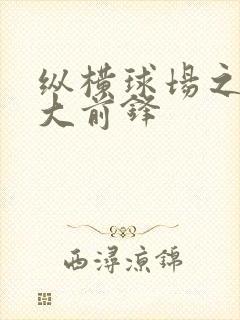 纵横球场之暴力大前锋