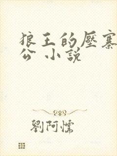 狼王的压寨小相公 小说