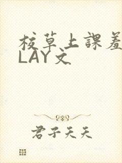 校草上课羞耻PLAY文