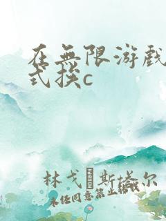 在无限游戏里花式挨c