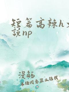 短篇高辣h文小说np