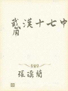 武汉十七中女主角