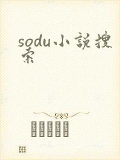 sodu小说搜索