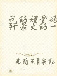 我的媚骨妈妈林轩最火的一句