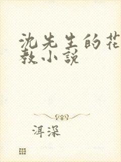 沈先生的花式调教小说