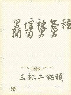 男倌被各种玉势开菊男男