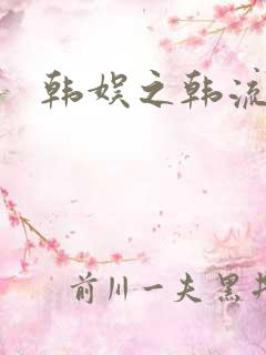 韩娱之韩流全球