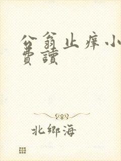 公翁止痒小说免费读