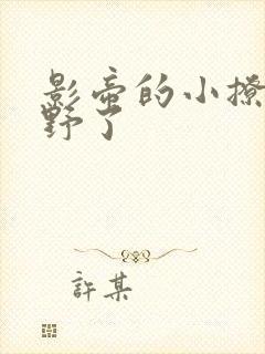 影帝的小撩精太野了