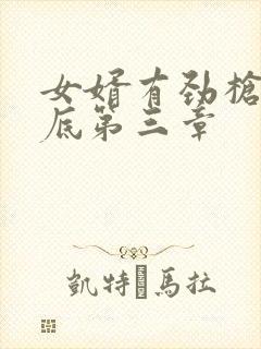 女婿有劲枪枪到底第三章