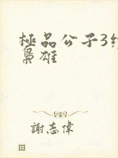 极品公子3续世枭雄