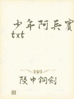 少年阿兵宾小说txt