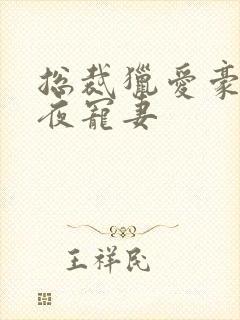 总裁猎爱豪门一夜宠妻