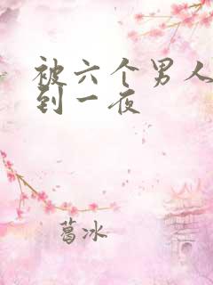 被六个男人躁J到一夜