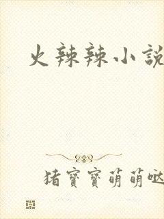 火辣辣小说全集