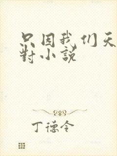 只因我们天生一对小说