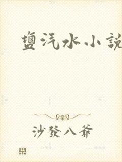 盐汽水小说