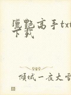 猎艳高手txt下载