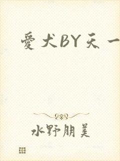 爱犬BY天一