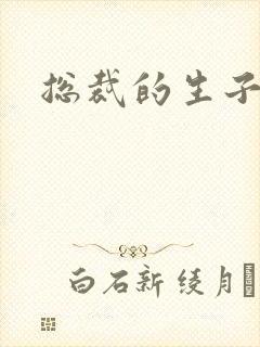 总裁的生子情人