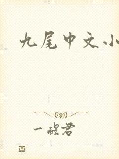 九尾中文小说网