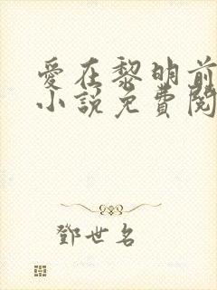 爱在黎明前降落小说免费阅读